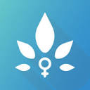 Nabta Health logo
